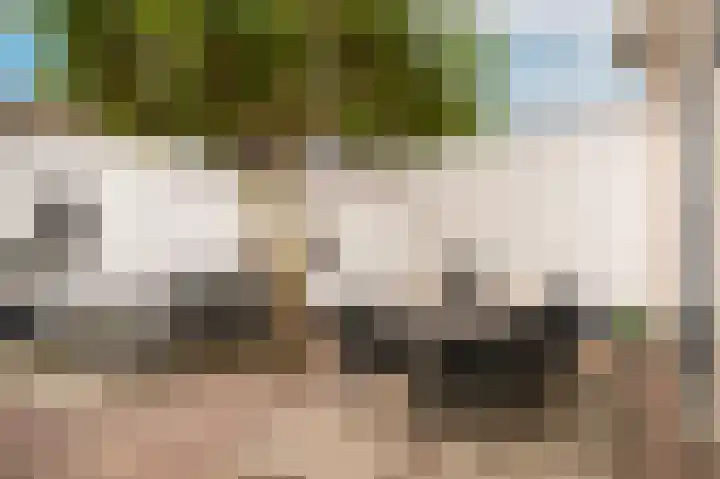 Mandenmakersstraat 4 Kerkdriel thumbnail 32