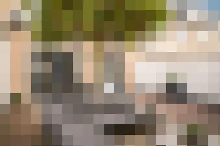 Mandenmakersstraat 4 Kerkdriel thumbnail 36