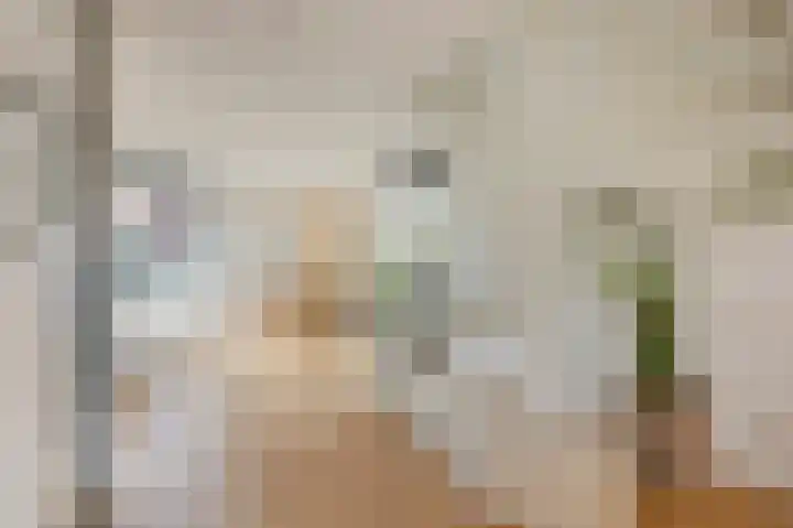 Mandenmakerstraat 28 Echt thumbnail 14