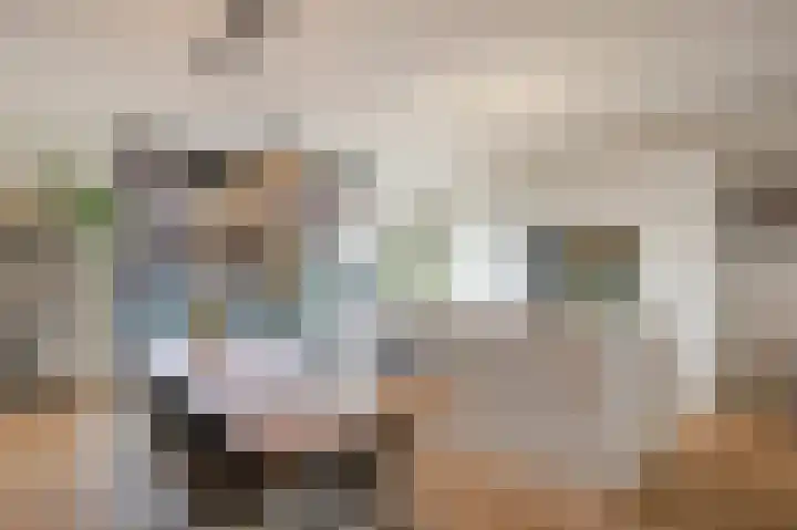 Mandenmakerstraat 28 Echt thumbnail 19