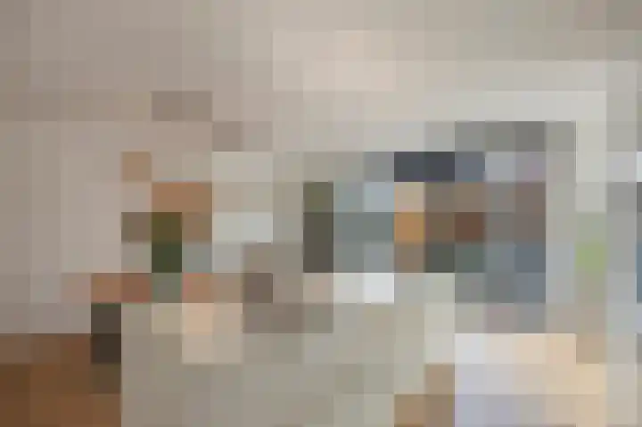 Mandenmakerstraat 28 Echt thumbnail 23