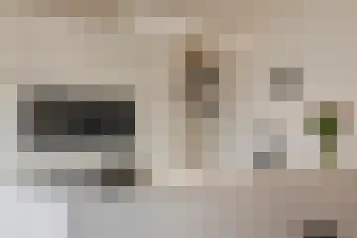 Mandenmakerstraat 28 Echt thumbnail 24