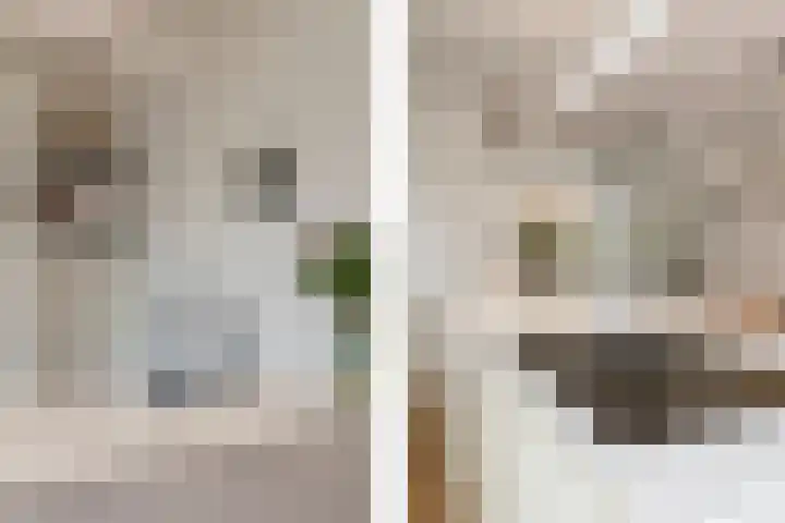Mandenmakerstraat 28 Echt thumbnail 27