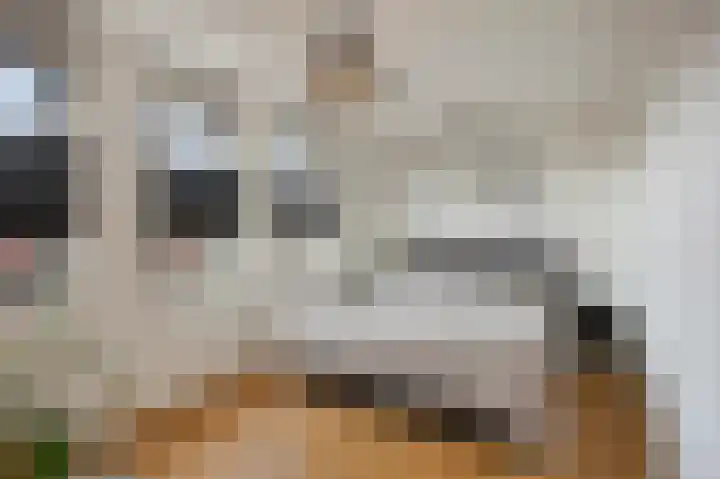 Mandenmakerstraat 28 Echt thumbnail 33