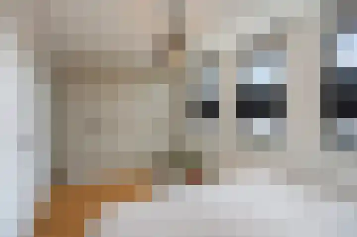 Mandenmakerstraat 28 Echt thumbnail 34