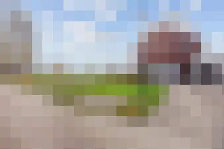Mandenmakerstraat 28 Echt thumbnail 5