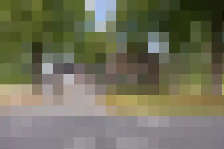 Mandewyk 37 Bakkeveen
