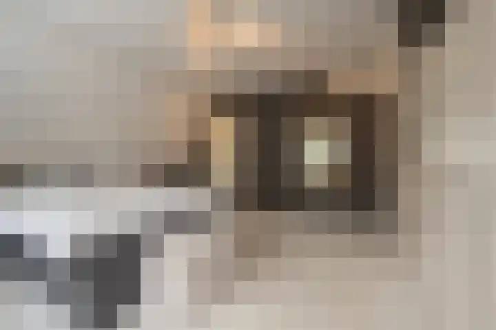 Mandoline 9 Klaaswaal thumbnail 31