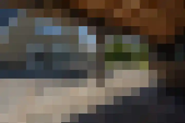 Mandoline 9 Klaaswaal thumbnail 49