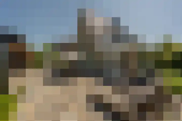 Mandoline 9 Klaaswaal thumbnail 50