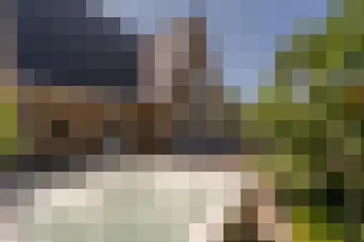 Mandoline 9 Klaaswaal thumbnail 53
