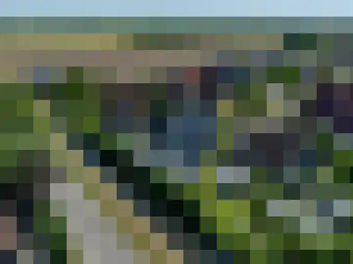 Mandoline 9 Klaaswaal thumbnail 57