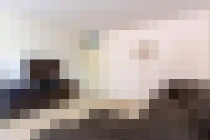 Mandolinestraat 147 Almere thumbnail 22