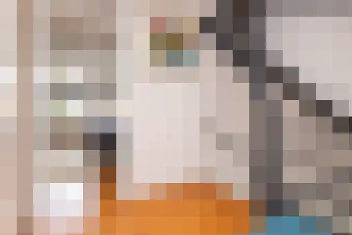 Mandrill 51 Wognum thumbnail 17