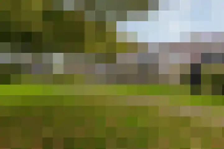 Mandrill 51 Wognum thumbnail 34