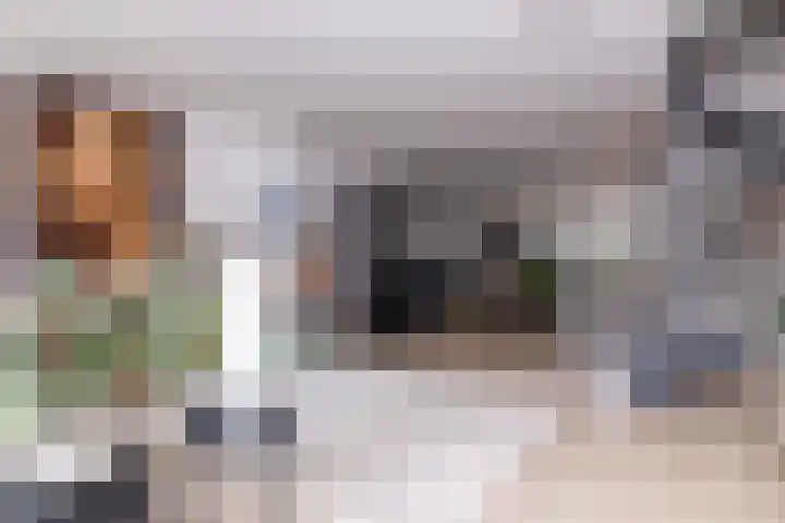 Mandrill 51 Wognum thumbnail 9