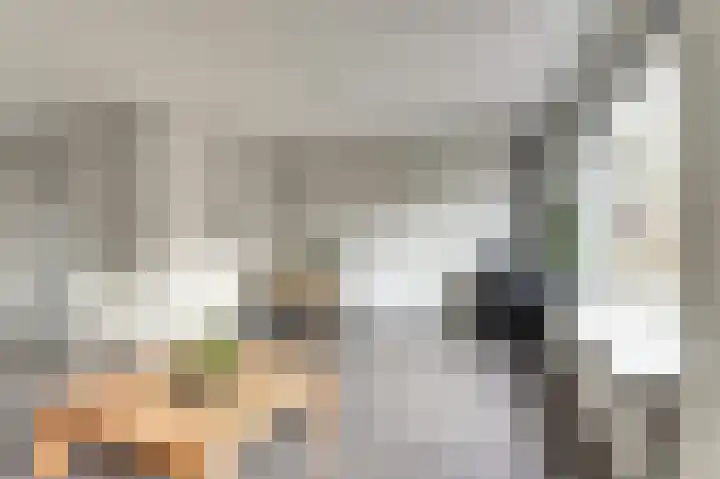 Manegelaan 14 Dronten thumbnail 10