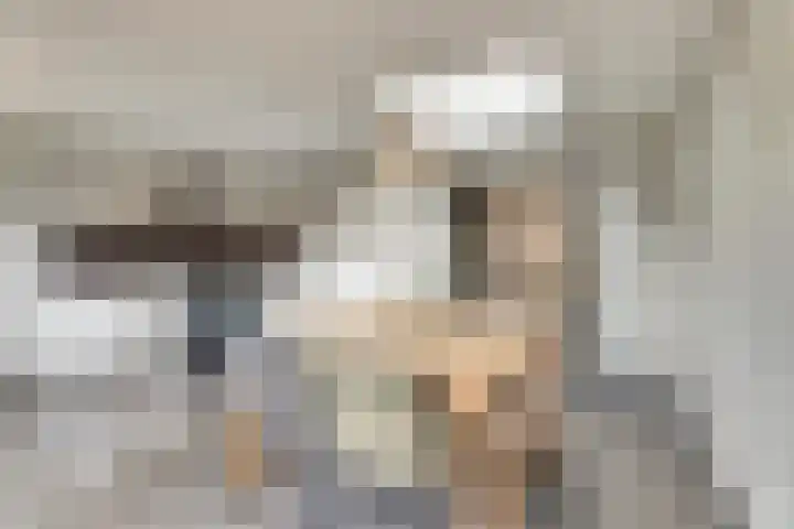Manegelaan 14 Dronten thumbnail 14