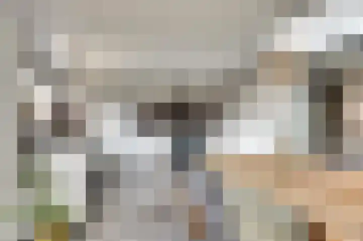 Manegelaan 14 Dronten thumbnail 15