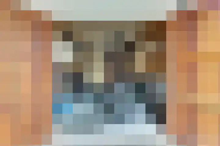 Manegelaan 14 Dronten thumbnail 22