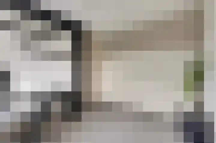 Manegelaan 14 Dronten thumbnail 31