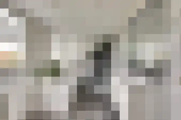 Manegelaan 14 Dronten thumbnail 32