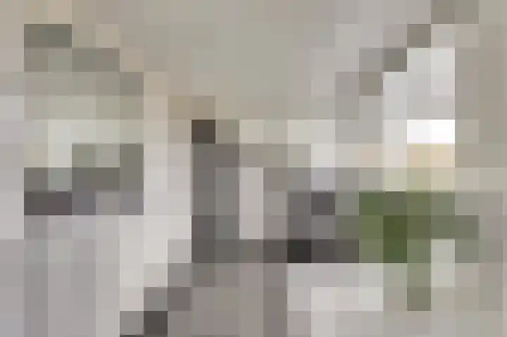 Manegelaan 14 Dronten thumbnail 33