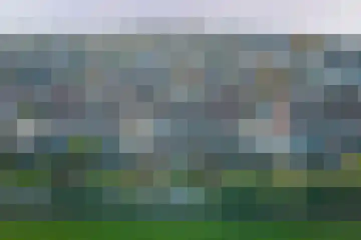 Manegelaan 14 Dronten thumbnail 41