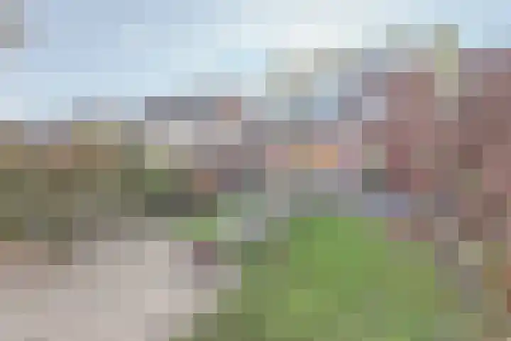 Manegelaan 14 Dronten thumbnail 43