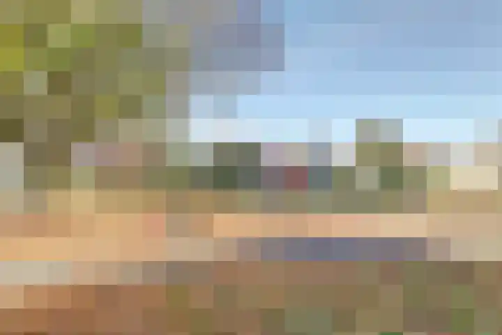 Manegelaan 14 Dronten thumbnail 50