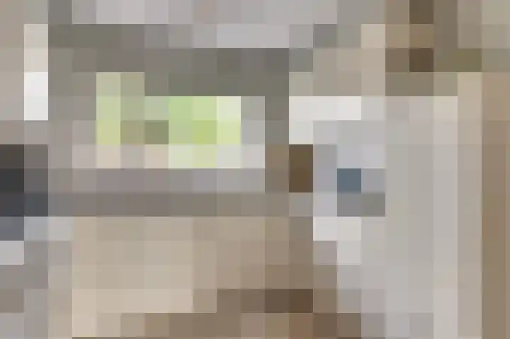 Manegelaan 2 Dronten thumbnail 13