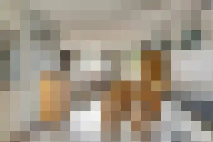 Manegelaan 2 Dronten thumbnail 14