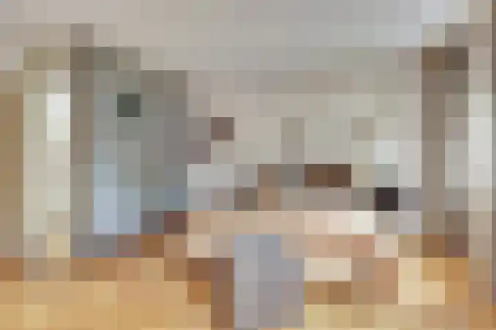 Manegelaan 2 Dronten thumbnail 18