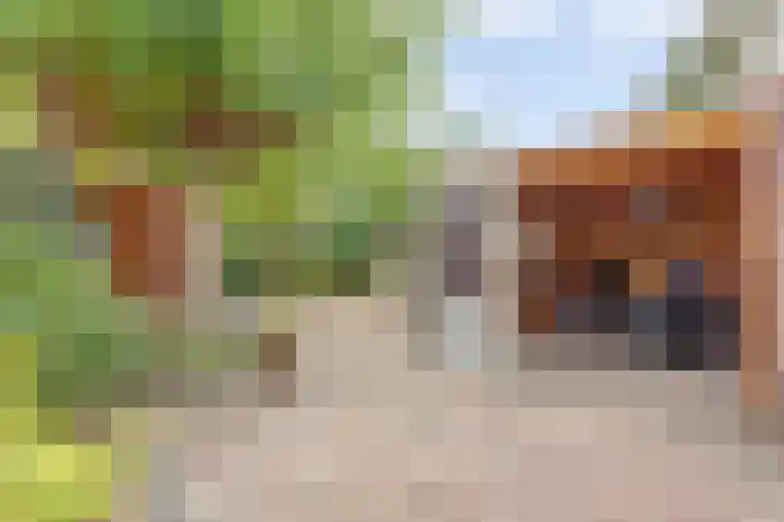 Manegelaan 2 Dronten thumbnail 41