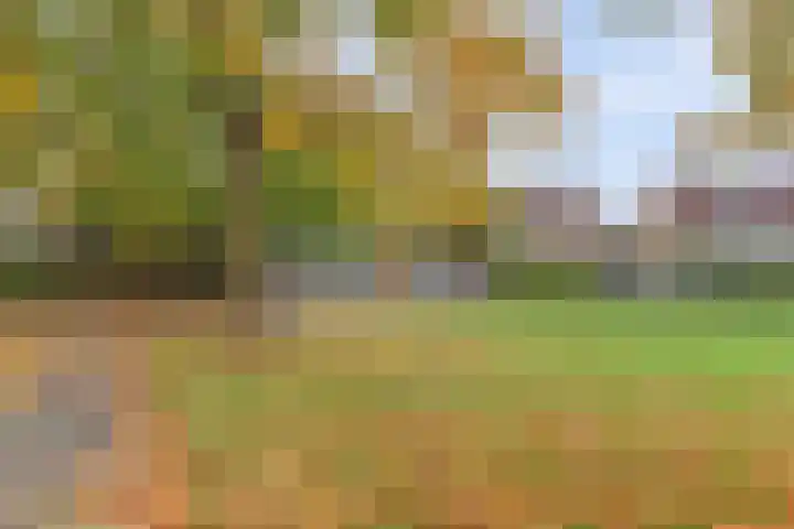 Manegelaan 2 Dronten thumbnail 48