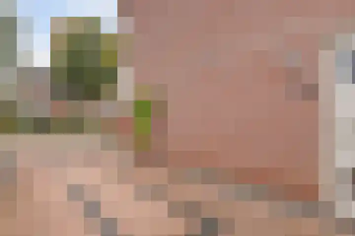 Manegelaan 2 Dronten thumbnail 59