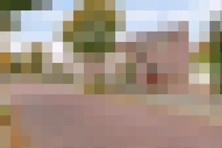 Manegelaan 2 Dronten thumbnail 60