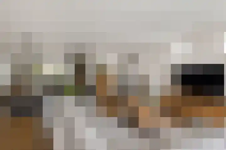 Manenburgdreef 33 Hoofddorp thumbnail 10
