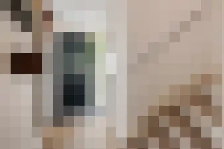 Manenburgdreef 33 Hoofddorp thumbnail 18