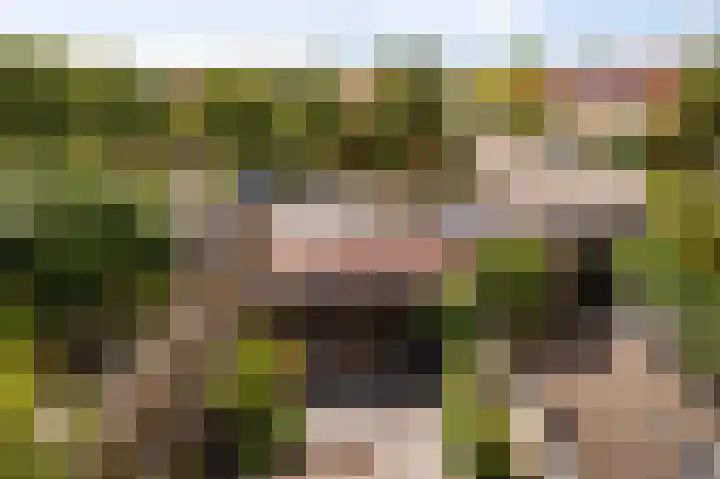 Manenburgdreef 33 Hoofddorp thumbnail 36