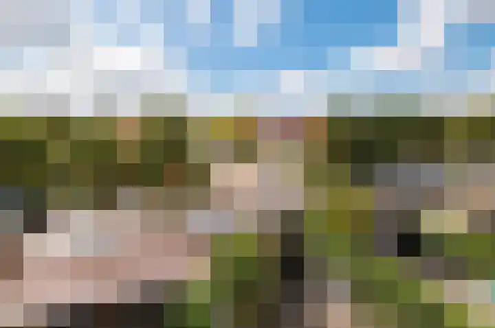 Manenburgdreef 33 Hoofddorp thumbnail 37