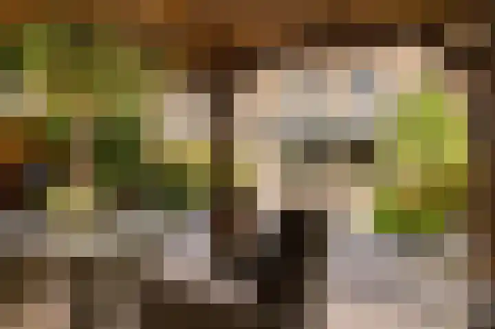Manenburgdreef 33 Hoofddorp thumbnail 45