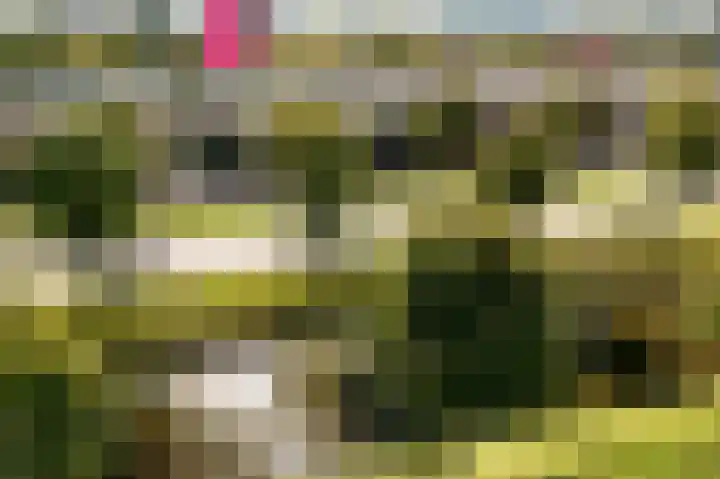 Manenburgdreef 33 Hoofddorp thumbnail 5