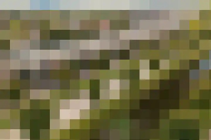 Manenburgdreef 33 Hoofddorp thumbnail 51