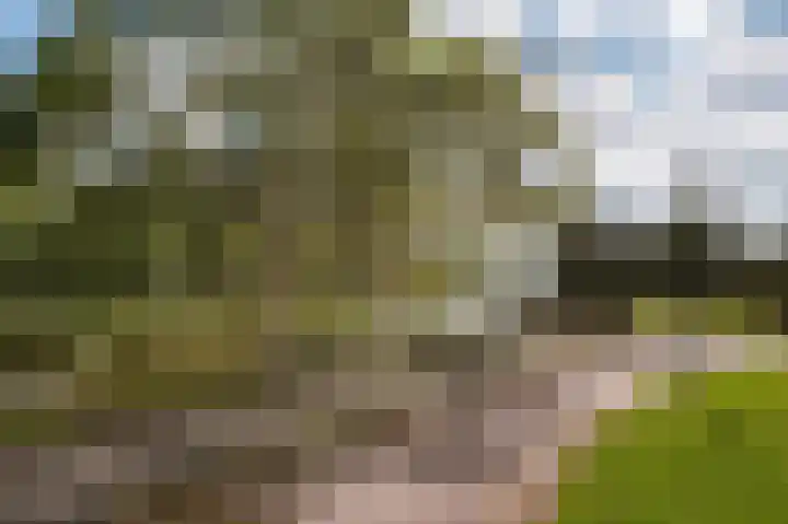 Manenburgdreef 33 Hoofddorp thumbnail 55