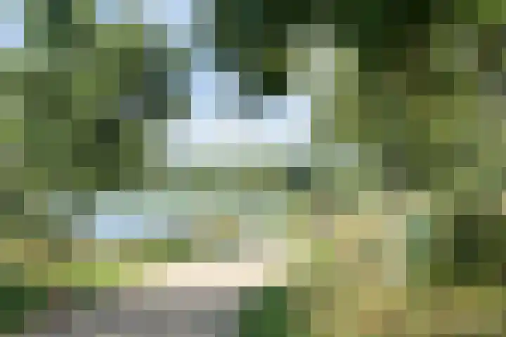 Manenburgdreef 33 Hoofddorp thumbnail 57