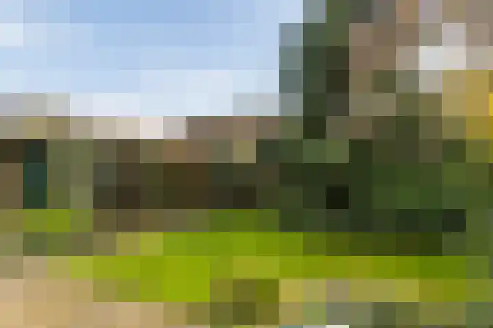 Manensheide 32 Klimmen thumbnail 23