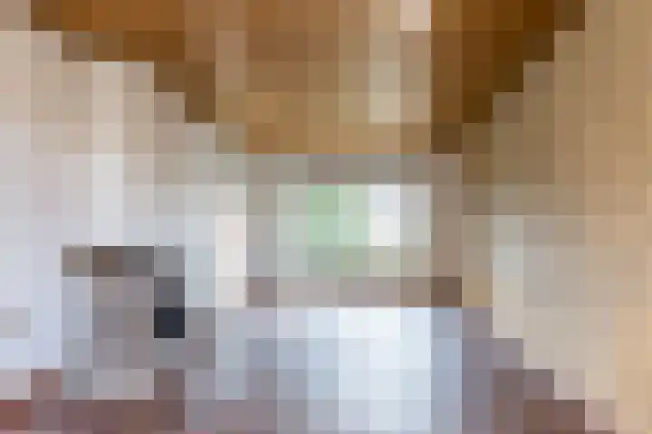 Manensheide 32 Klimmen foto 3