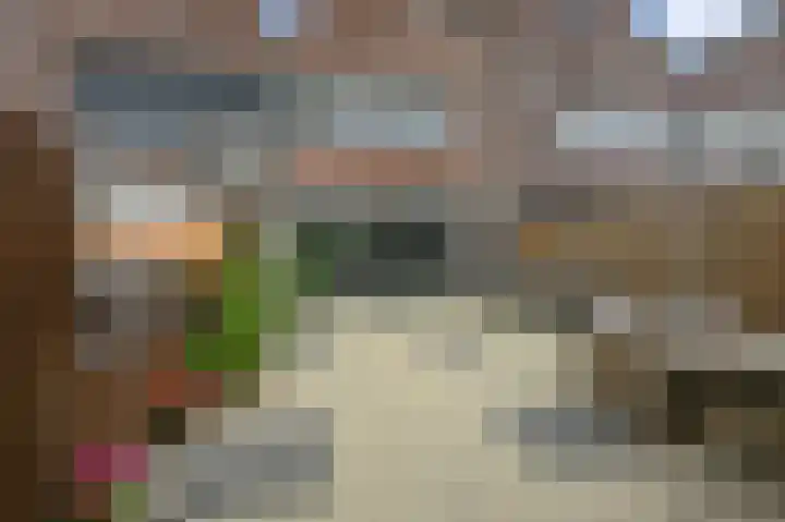 Maneschijn 31 Assendelft thumbnail 13