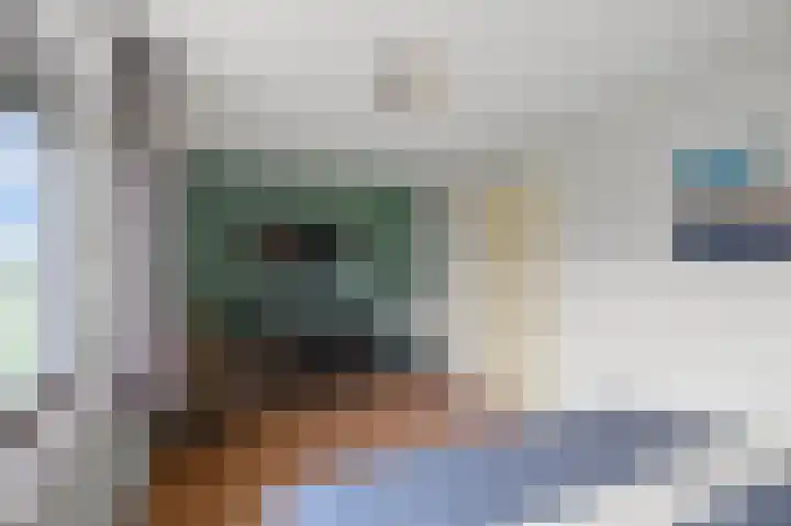 Maneschijn 31 Assendelft thumbnail 22